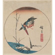 Utagawa Hiroshige: Kingfisher and Reeds, cut from an untitled harimaze sheet - Museum of Fine Arts