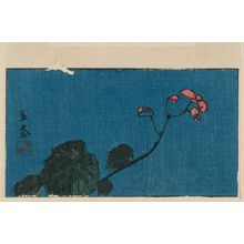 日本版画 "Begonia, cut from an untitled harimaze sheet" 由 Utagawa Hiroshige, 歌川広重 (Utagawa Hiroshige I) 创作