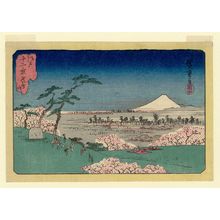Utagawa Hiroshige: Asuka Hill (Asukayama), from the series Twelve Views of Edo (Edo jûni kei) - Museum of Fine Arts