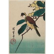 Utagawa Hiroshige: Bird on Loquat Branch - Museum of Fine Arts