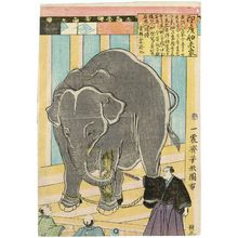 Utagawa Yoshikata: Elephant Brought by Ship from India (Indo senrai zô) - Museum of Fine Arts