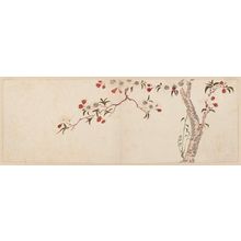 Utagawa Hiroshige: Cherry Tree in Bloom - Museum of Fine Arts