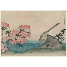 Katsushika Hokusai: Wagtail and Azalea - Museum of Fine Arts