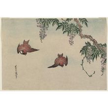 Katsushika Hokusai: Sparrows and Wisteria - Museum of Fine Arts
