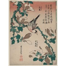Katsushika Hokusai: Java Sparrow on Magnolia (Bunchô, kobushi no hana), from an untitled series known as Small Flowers - Museum of Fine Arts