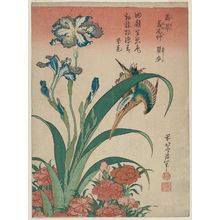 葛飾北斎: Kingfisher with Iris and Wild Pinks (Kawasemi, shaga, nadeshiko), from an untitled series known as Small Flowers - ボストン美術館