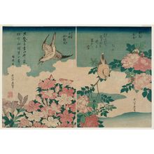 葛飾北斎: Warbler and Roses (Kôchô, bara; right); Cuckoo and Azaleas (Hototogisu, satsuki; left), from an untitled series known as Small Flowers - ボストン美術館