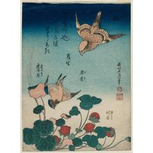 葛飾北斎: Shrike and Bluebird with Begonia and Wild Strawberry (Mozu, ruri, yuki-no-shita, hebi-ichigo), from the untitled series known as Small Flowers - ボストン美術館