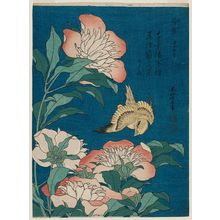 Katsushika Hokusai: Peonies and Canary (Shakuyaku, kanaari), from an untitled series known as Small Flowers - Museum of Fine Arts