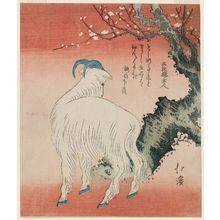 Totoya Hokkei: Goat Standing by a Plum Tree - Museum of Fine Arts