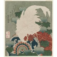 Totoya Hokkei: White Rooster on a Drum - Museum of Fine Arts