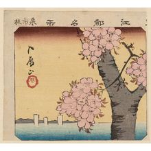 歌川広重: Cherry Blossoms at Goten-yama (Goten-yama hana), from the series Cutout Pictures of Famous Places in Edo (Harimaze Kôto meisho) - ボストン美術館