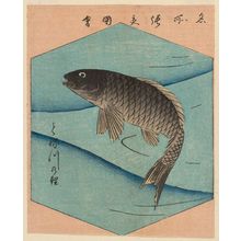 Utagawa Hiroshige: Carp of the Tone River (Tonegawa koi), from the series Cutout Pictures of Famous Places in Edo (Edo meisho harimaze zue) - Museum of Fine Arts