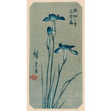 Utagawa Hiroshige: Iris at the Village of Horikiri (Horikiri no sato hanashôbu), from the series Cutout Pictures of Famous Places in Edo (Edo meisho harimaze zue) - Museum of Fine Arts