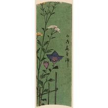 Utagawa Hiroshige: Flower Garden at Mukôjima (Mukôjima hanayashiki), from the series Cutout Pictures of Famous Places in Edo (Edo meisho harimaze zue) - Museum of Fine Arts