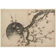 Katsushika Hokusai: Plum Blossoms and Moon, from the album Fuji in Spring (Haru no Fuji) - Museum of Fine Arts