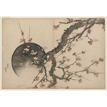 葛飾北斎: Plum Blossoms and Moon, from the album Fuji in Spring (Haru no Fuji) - ボストン美術館