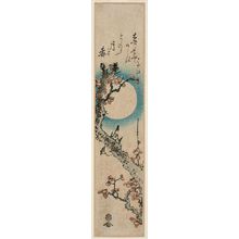 Unknown: Bird on Plum Branch under a Full Moon - Museum of Fine Arts