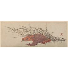 Kubo Shunman: Flowering Plum Branch and Fabrics - Museum of Fine Arts