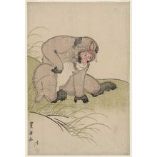 Utagawa Toyokuni I: Monkey - Museum of Fine Arts