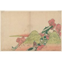 Katsukawa Shunko: Viewing Cherry Blossoms - Museum of Fine Arts