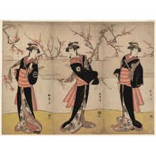 Katsukawa Shunsho: Actors Nakayama Tomisaburô I as An no Oyasu (R), Iwai Kiyotarô II as Kaminari no Osha (C), Nakayama Tatezô I as Gokuin no Osen (L), Three of Five Gonin Onna - Museum of Fine Arts