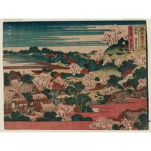 Katsushika Hokusai: Cherry Blossoms on Asuka Hill in Edo (Tôto Asuka no hana), from the series Snow, Moon, and Flowers at Famous Scenic Spots (Shôkei setsugekka) - Museum of Fine Arts