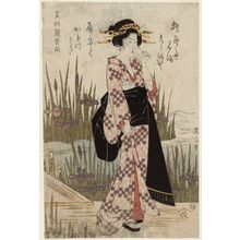 Kikugawa Eizan: Woman Viewing Iris at Yatsuhashi, from the series Beauties Matched with Hokku Poems (Bijin hokku awase) - Museum of Fine Arts