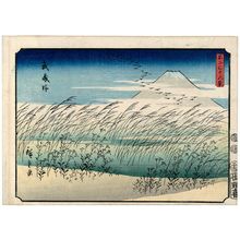 歌川広重: Musashi Plain (Musashino), from the series Thirty-six Views of Mount Fuji (Fuji sanjûrokkei) - ボストン美術館