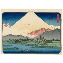 Utagawa Hiroshige: Fuji Marsh in Suruga Province (Suruga Fujinuma), from the series Thirty-six Views of Mount Fuji (Fuji sanjûrokkei) - Museum of Fine Arts