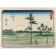 Utagawa Hiroshige: Rice Paddies at Kinoshitagawa in Edo (Tôto Kinoshitagawa tanbo), from the series Thirty-six Views of Mount Fuji (Fuji sanjûrokkei) - Museum of Fine Arts