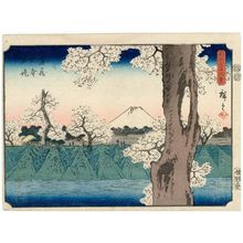 Utagawa Hiroshige: The Embankment at Koganei in Musashi Province (Musashi Koganei tsutsumi), from the series Thirty-six Views of Mount Fuji (Fuji sanjûrokkei) - Museum of Fine Arts