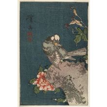 Keisai Eisen: Finch and Roses - Museum of Fine Arts