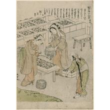 Katsukawa Shunsho: No. 6, from the series Silkworm Cultivation (Kaiko yashinai gusa) - Museum of Fine Arts