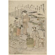 Kitao Shigemasa: No. 5, from the series Silkworm Cultivation (Kaiko yashinai gusa) - Museum of Fine Arts