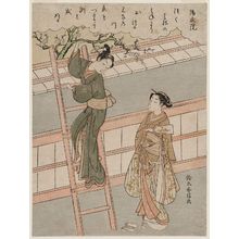 鈴木春信: Poem by Yôzei-in, from an untitled series of One Hundred Poems by One Hundred Poets (Hyakunin isshu) - ボストン美術館