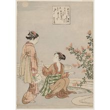 鈴木春信: The Jewel River of Bush Clover, a Famous Place in Ômi Province (Hagi no Tamagawa, Ômi no meisho, Toshiyori), from an untitled series of Six Jewel rivers (Mu Tamagawa) - ボストン美術館