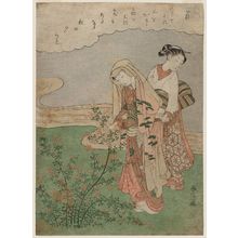 Suzuki Harunobu: Bush Clover (Hagi), from an untitled series of Flowers - Museum of Fine Arts