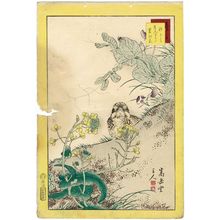 Nakayama Sûgakudô: No. 7 from the series Forty-eight Hawks Drawn from Life (Shô utsushi yonjû-hachi taka) - Museum of Fine Arts