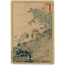 Nakayama Sûgakudô: No. 7 from the series Forty-eight Hawks Drawn from Life (Shô utsushi yonjû-hachi taka) - Museum of Fine Arts