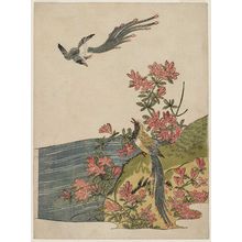 磯田湖龍齋: Magpies and Azaleas - ボストン美術館