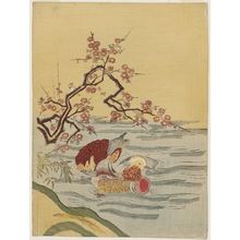 Isoda Koryusai: Mandarin Ducks - Museum of Fine Arts