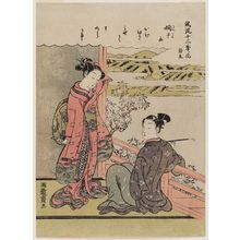 Isoda Koryusai: The Third Month (Yayoi), from the series Fashionable Flowers of the Twelve Months (Fûryû jûni ki no hana) - Museum of Fine Arts