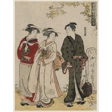 Kitao Masanobu: from the series Ten Patterns of Alluring Matches in the Modern World (Tôsei tsuya awase jûgata no zu) - ボストン美術館