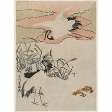 Ishikawa Toyomasa: Cranes - Museum of Fine Arts