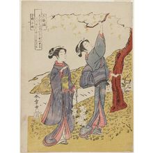 勝川春章: Poem by Ono no Komachi, from the series Rokkasen (Six Poetic Immortals) - ボストン美術館