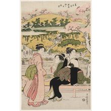 鳥居清長: Spring View of the New Garden at Sodegaoka in Shinagawa (Minami shintei Sodegaoka haru no kei) - ボストン美術館