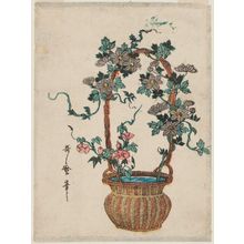 Kitagawa Utamaro: Flower Arrangement with Clematis and Morning Glories - Museum of Fine Arts