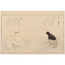 Kitagawa Utamaro: Cormorant (U) and Egrets (Sagi), from the album Momo chidori kyôka awase (Myriad Birds: A Kyôka Competition) - Museum of Fine Arts
