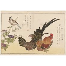 Kitagawa Utamaro: Chickens (Niwatori) and Bunting (Hôjiro), from the album Momo chidori kyôka awase (Myriad Birds: A Kyôka Competition) - Museum of Fine Arts